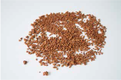 granella-arachidi-pralinate-ingr-past